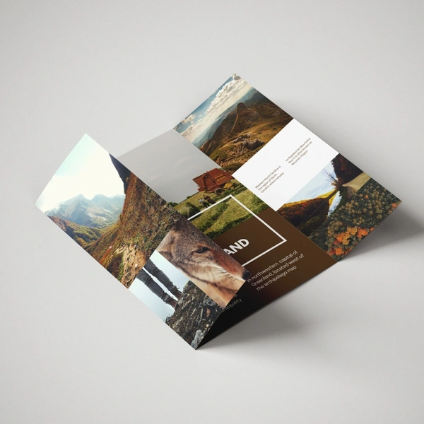 Gate Fold Leaflet
