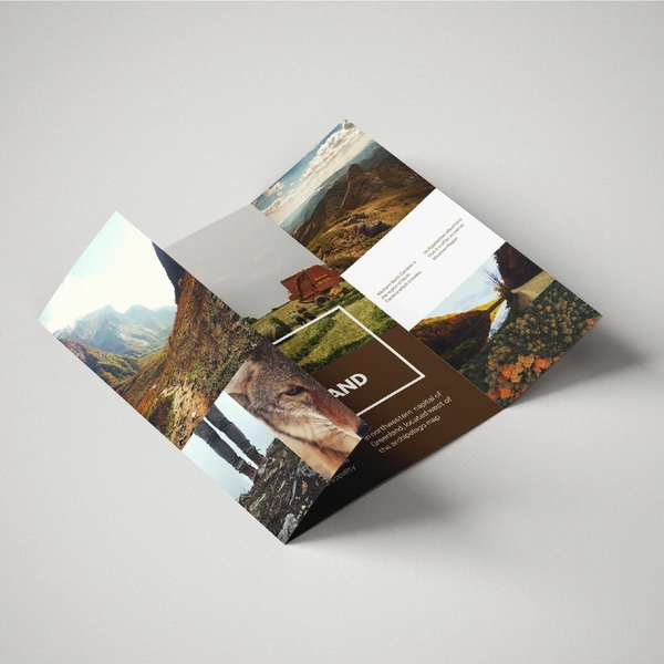 Gate Fold Leaflet